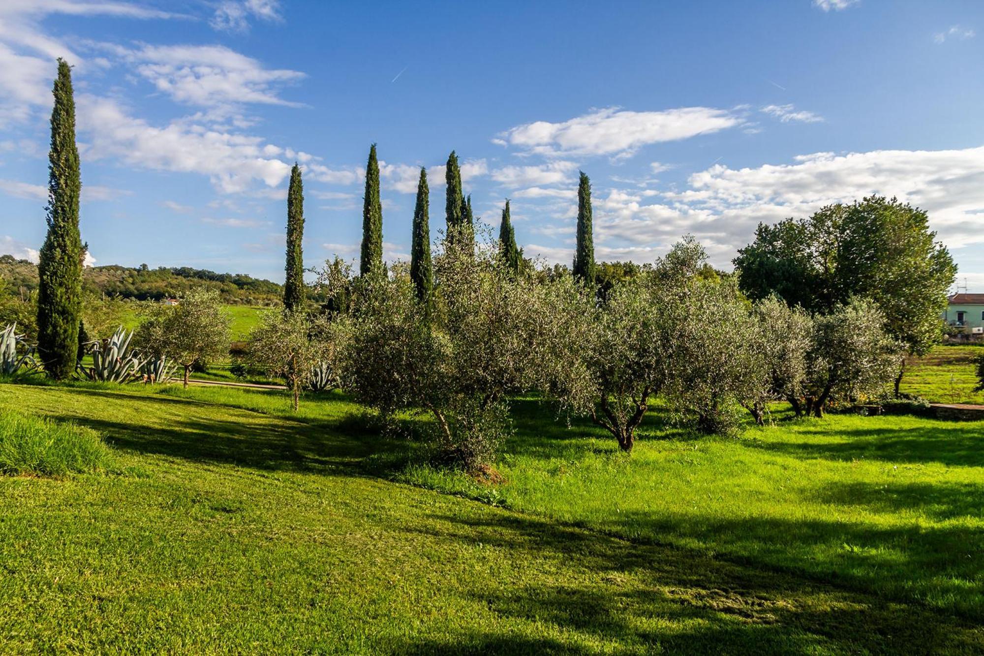 Agriturismo Bio Fattoria Casetta Gavorrano Exterior photo