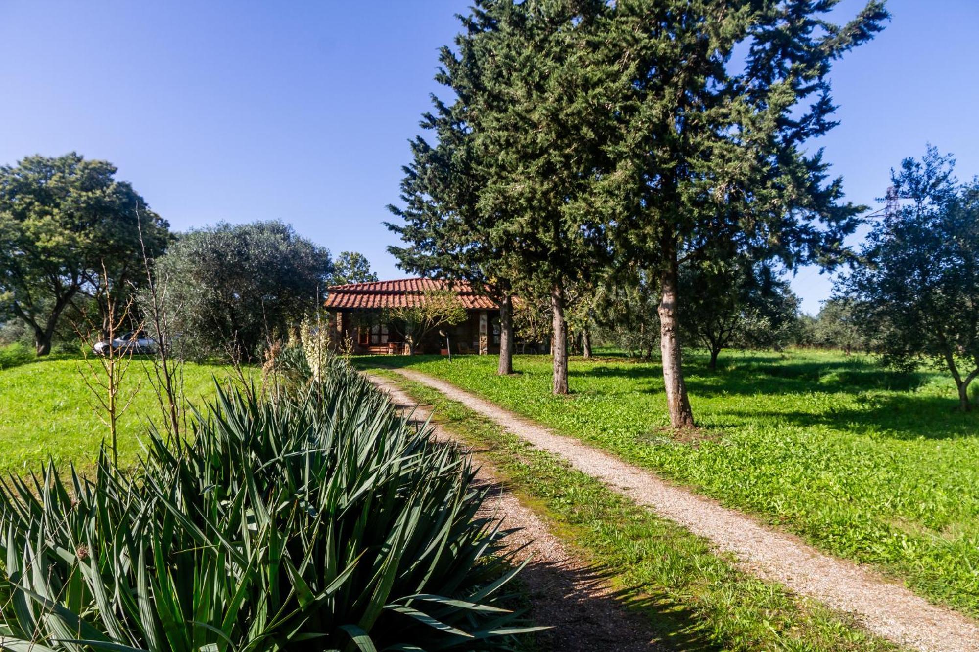Agriturismo Bio Fattoria Casetta Gavorrano Exterior photo